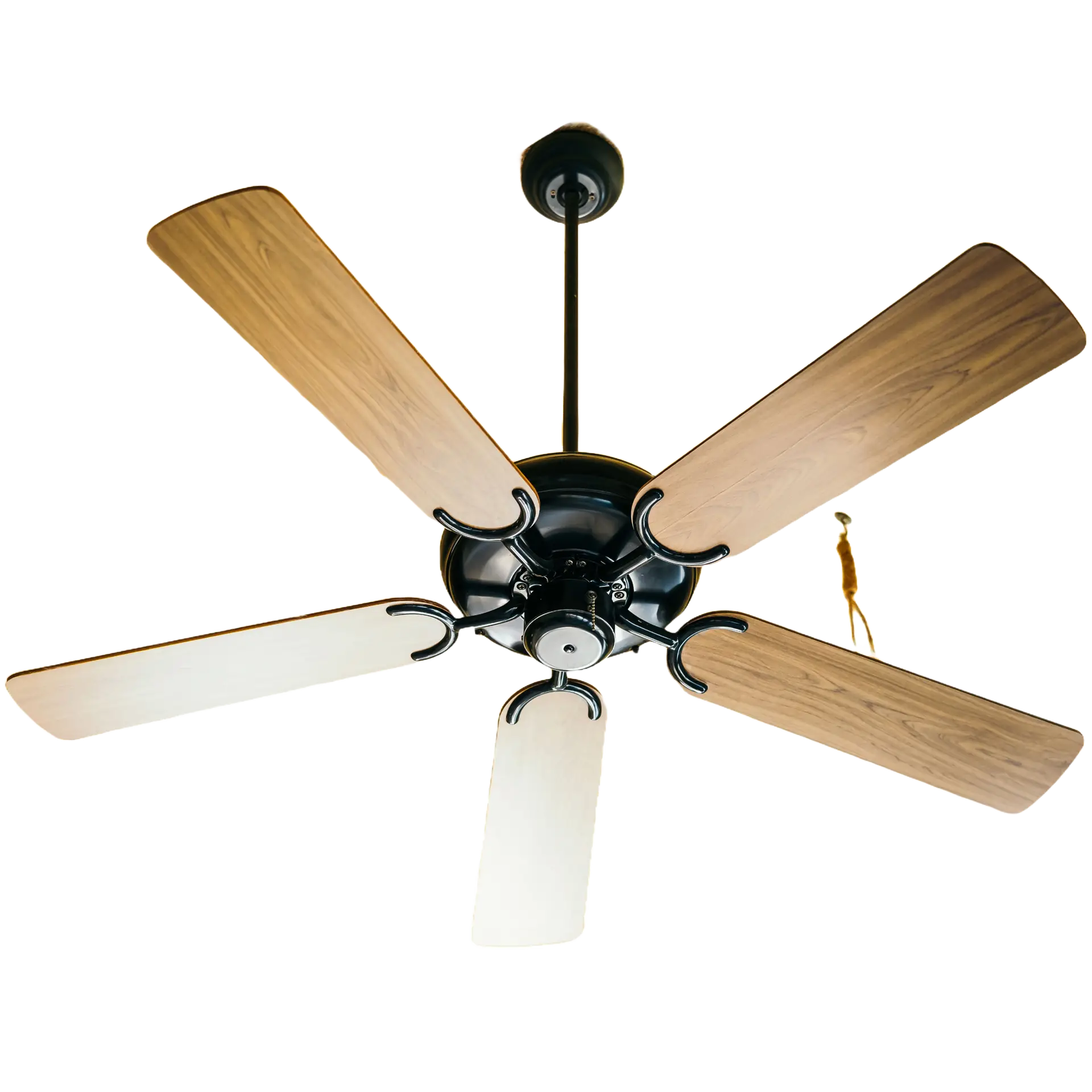 Category Image